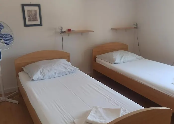 Zulin セゲット・ヴラニツァ